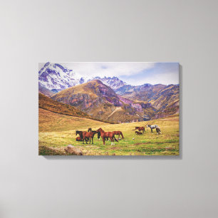 Landschaft mit Pferden in georgianischen Bergen Leinwanddruck