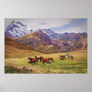 Landschaft mit Pferden in georgianischen Bergen Poster