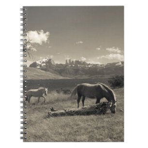 Landschaft mit Pferden Notizblock