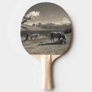 Landschaft mit Pferden Tischtennis Schläger