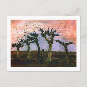 Landschaft mit Pollard Willows, Vincent van Gogh Postkarte