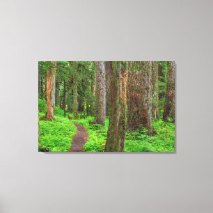Landschaft mit Urwald Leinwanddruck
