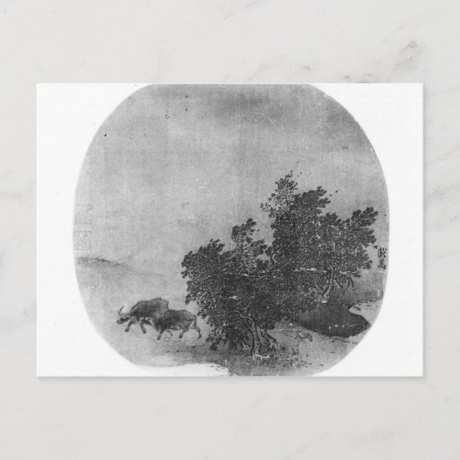 Landschaft mit Wasserbüffel, Song-Dynastie Postkarte (Vorderseite)
