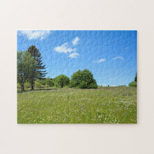 Landschaft mit Wiese - Puzzle