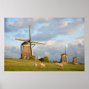 Landschaft mit Windmühlen und Schafen Poster