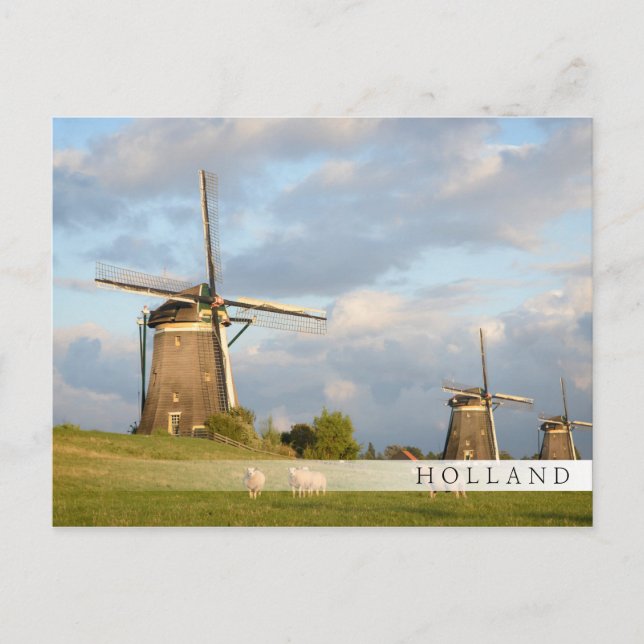 Landschaft mit Windmühlen und Schafen Postkarte (Vorderseite)