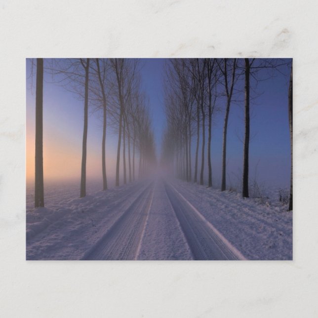 Landschaft Nähe Castagnole | Piemont Italien Postkarte (Vorderseite)