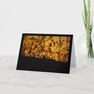 Landschaft Orange Sonnenuntergang Silhouette Karte