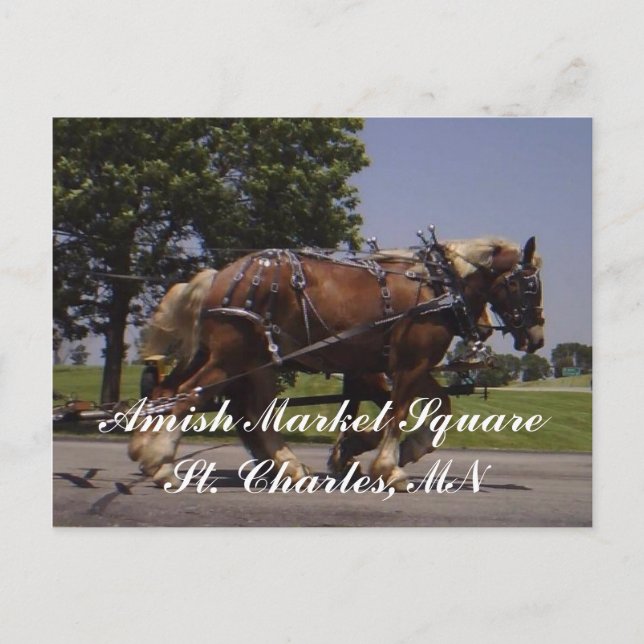 Landschaft Postkarte (Vorderseite)