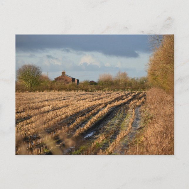 Landschaft Postkarte (Vorderseite)