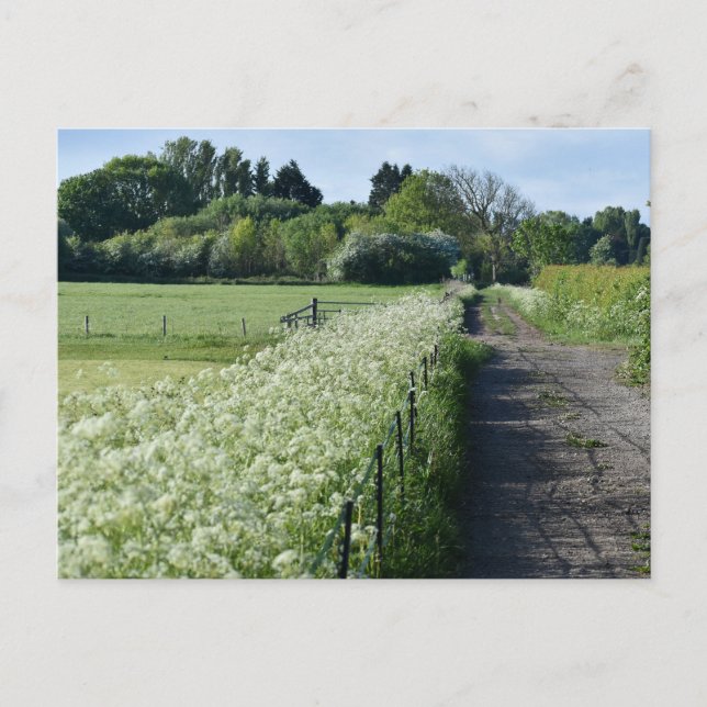 Landschaft Postkarte (Vorderseite)
