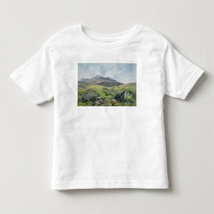 Landschaft, Snowdon Kleinkind T-shirt