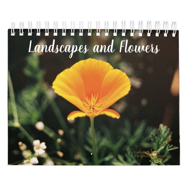Landschaft und Blumen-Kalender Kalender (Titelbild)