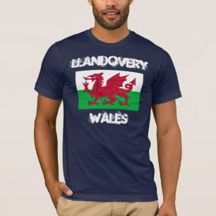 Landschaft, Wales mit walisischer Flagge T-Shirt