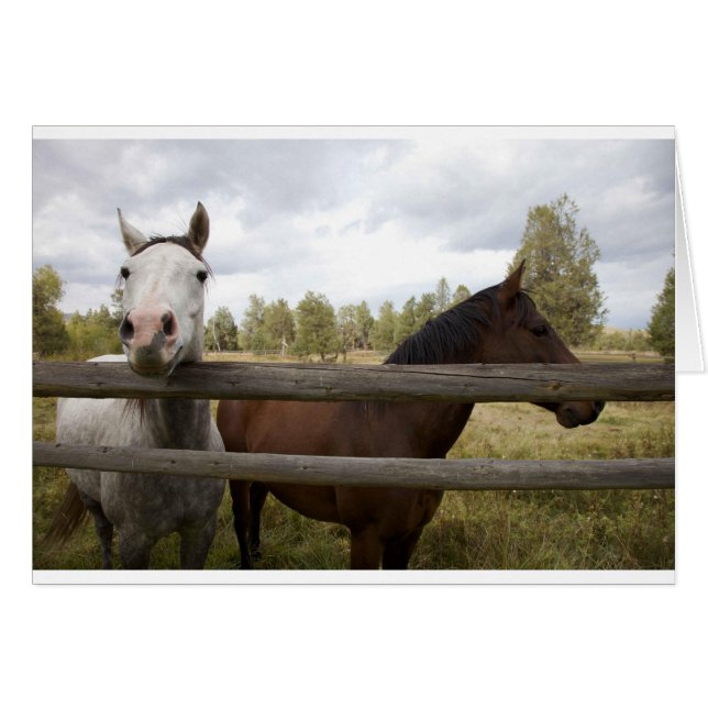 LANDSCHAFTEN (Vorderseite (Horizontal))