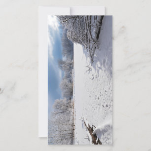 landschaftlich an Teich und Salemwald