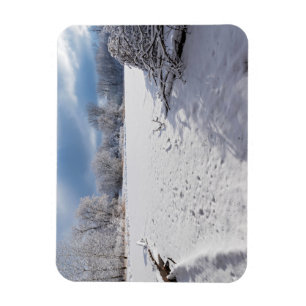 landschaftlich an Teich und Salemwald Magnet