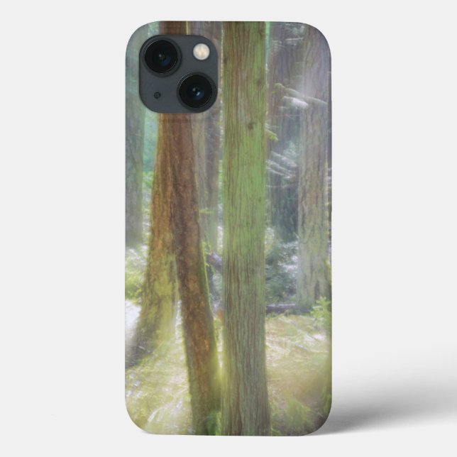 Landschaftlich Beach Staat Park Case-Mate iPhone Hülle (Rückseite)