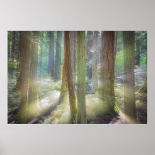 Landschaftlich Beach Staat Park Poster