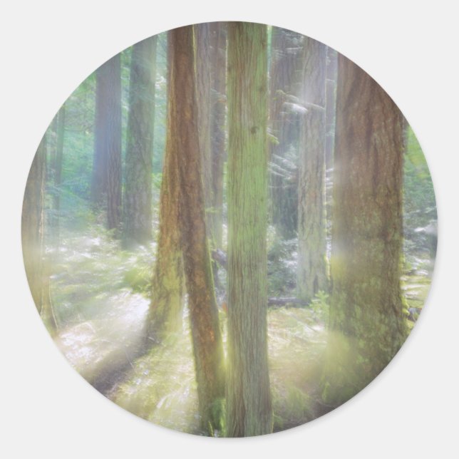 Landschaftlich Beach Staat Park Runder Aufkleber (Vorderseite)