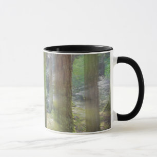 Landschaftlich Beach Staat Park Tasse