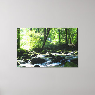 Landschaftlich River Canvas Print Leinwanddruck