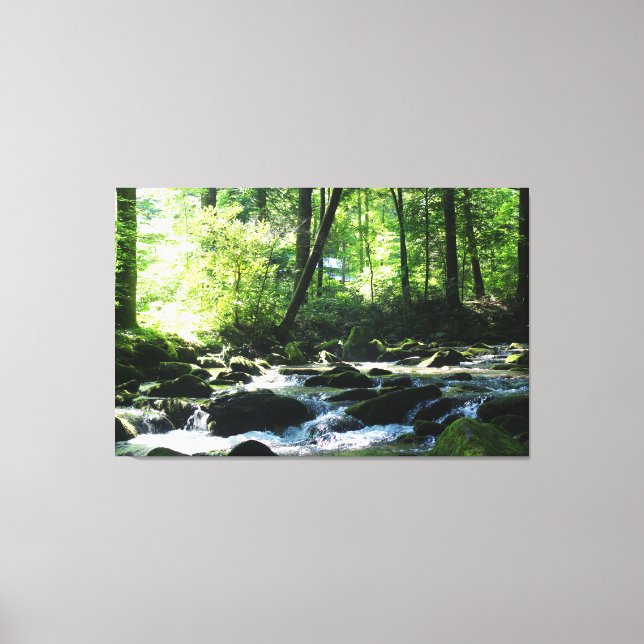 Landschaftlich River Canvas Print Leinwanddruck (Vorderseite)