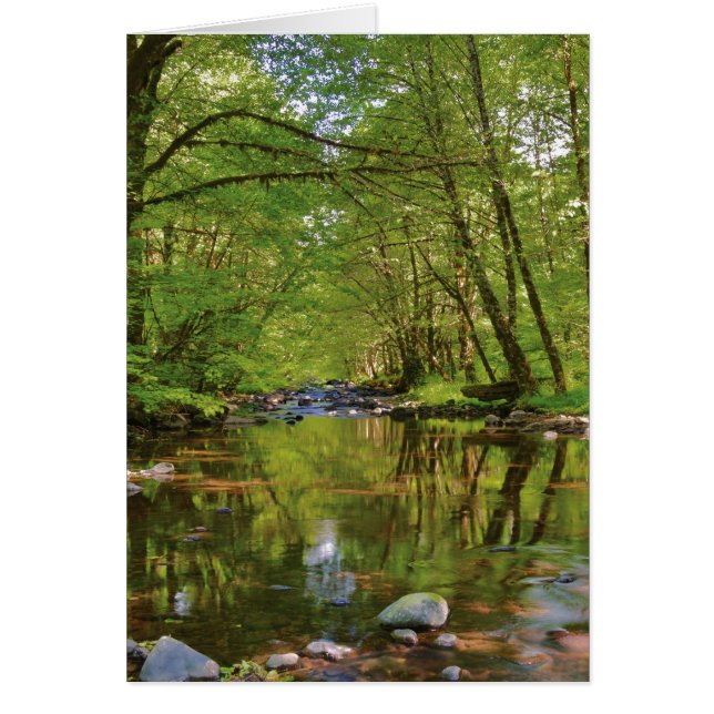 Landschaftlich vom Wilson River (Vorne)