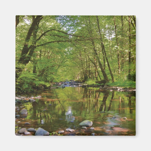 Landschaftlich vom Wilson River Magnet (Vorne)