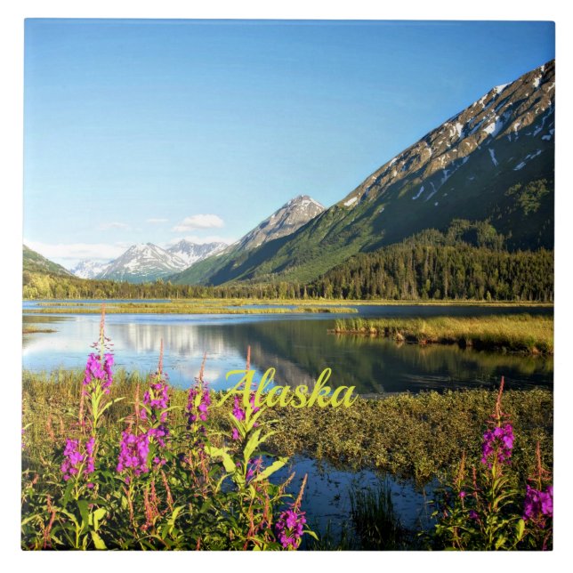 Landschaftliche Alaska, gekennzeichnet, Fliese (Vorderseite)