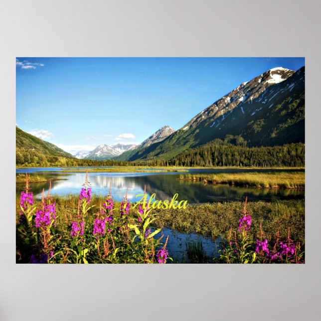 Landschaftliche Alaska, gekennzeichnet Poster (Vorne)