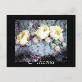 Landschaftliche Arizona Cactus Blume Postkarte