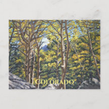 Landschaftliche Aspen Trees in Estes Nationalpark 