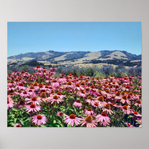 Landschaftliche Blume des rosa Krons Poster
