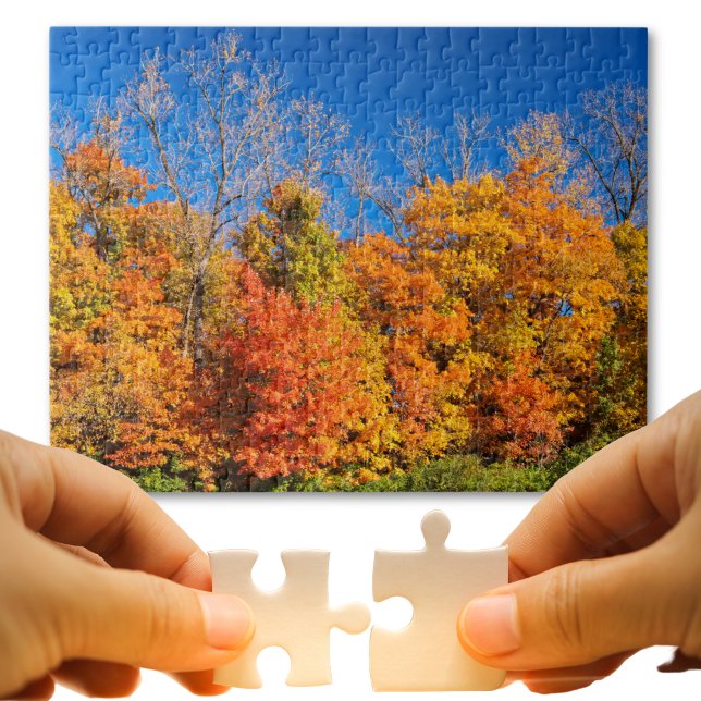 Landschaftliche Fallbäume und Blaues Himmel Foto Puzzle (Puzzle loving dads will appreciate an excuse to stay inside with you on a hot summer afternoon. )