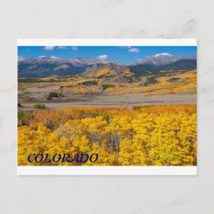 Landschaftliche Foliage Colorado Postkarte