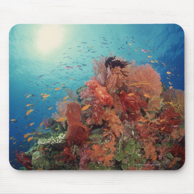 Landschaftliche Korallenriff, Weichkorallen 2 Mousepad (Vorne)