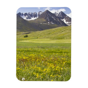 Landschaftliche Landschaft im Svarfadardalur-Tal Magnet