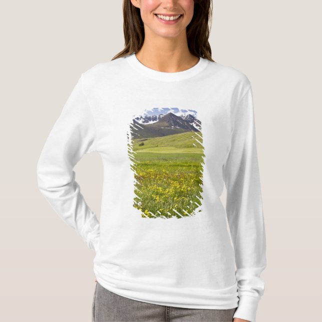 Landschaftliche Landschaft im Svarfadardalur-Tal T-Shirt (Vorderseite)