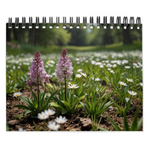 landschaftliche Mauer von 2025