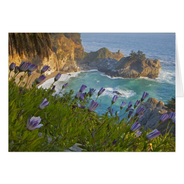 Landschaftliche McWay Falls stürzt in den Strand u (Vorderseite (Horizontal))