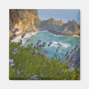 Landschaftliche McWay Falls stürzt in den Strand u Magnet