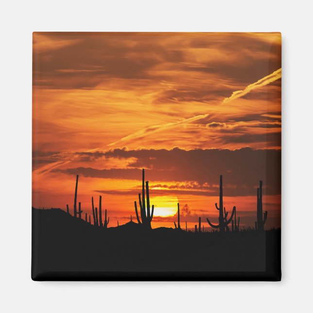 Landschaftliche Saguaros bei Sonnenuntergang Magnet (Vorne)