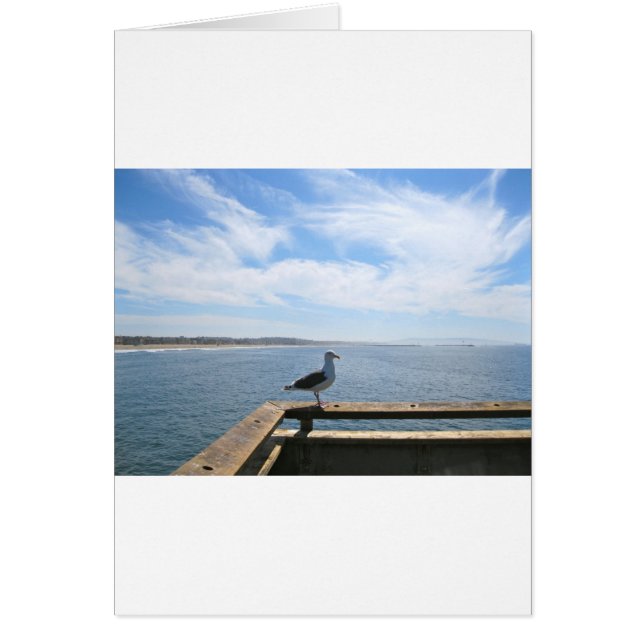 Landschaftliche Seagull-Karte (Vorne)