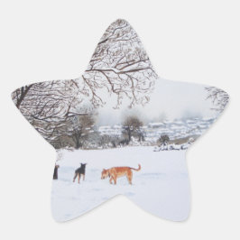 landschaftliche Sicht auf Hunde in Schneelandschaf Stern-Aufkleber