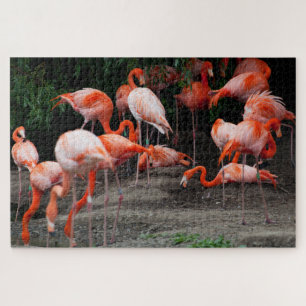 Landschaftliche tropische Landschaft Flamingo Jigs Puzzle