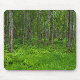Landschaftliche Waldgrün-Mousepad Mousepad