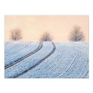 Landschaftliche Winterlandschaft Bäume Hoarfrost P Fotodruck
