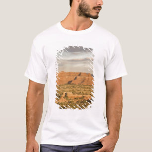 Landschaftliche Winterwüstenlandschaft auf dem Weg T-Shirt