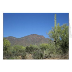 Landschaftlicher Apache-Pfad